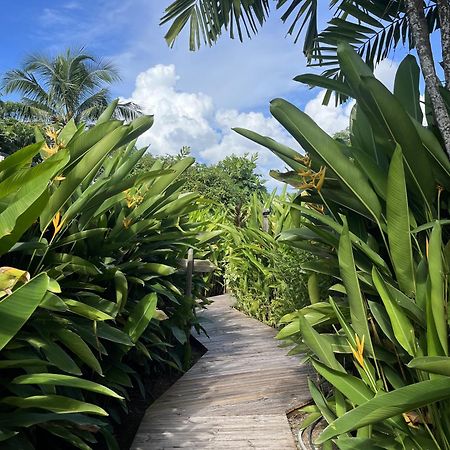 Eden Paradise Ecolodge & Spa Сент-Люс Екстер'єр фото