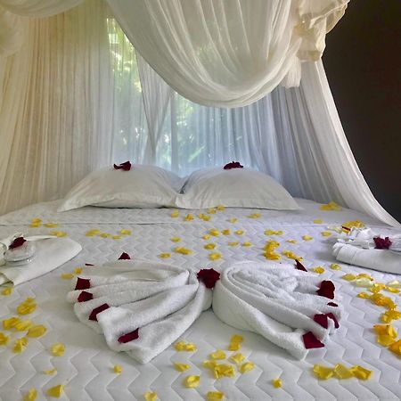 Eden Paradise Ecolodge & Spa Сент-Люс Номер фото