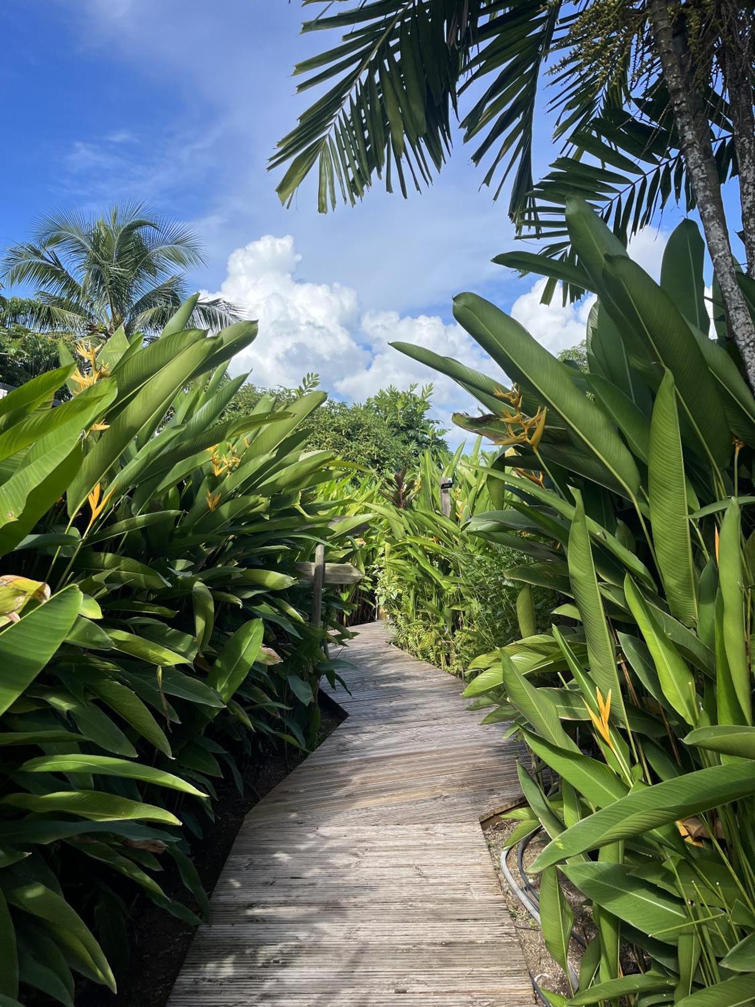 Eden Paradise Ecolodge & Spa Сент-Люс Екстер'єр фото